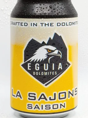 Sajons